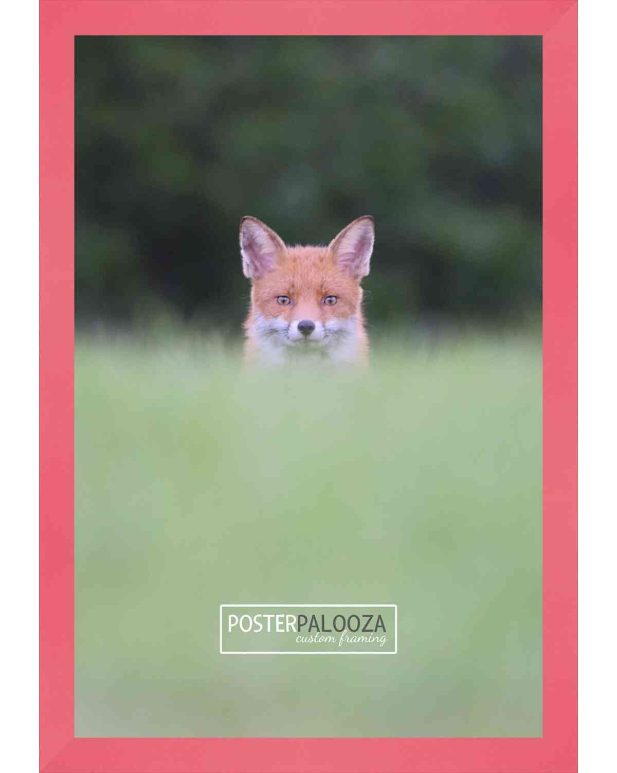 Photo Size Classic Modern Red Frame – UV Acrylic, Backing, Hanging Hardware