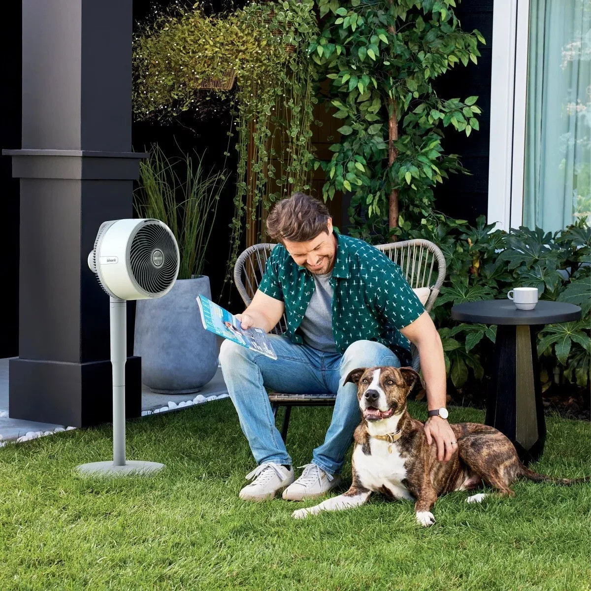 SHARK FLEXBREEZE CORDLESS FAN PEDESTAL TO TABLETOP CAPABILITIES – Scratch & Dent
