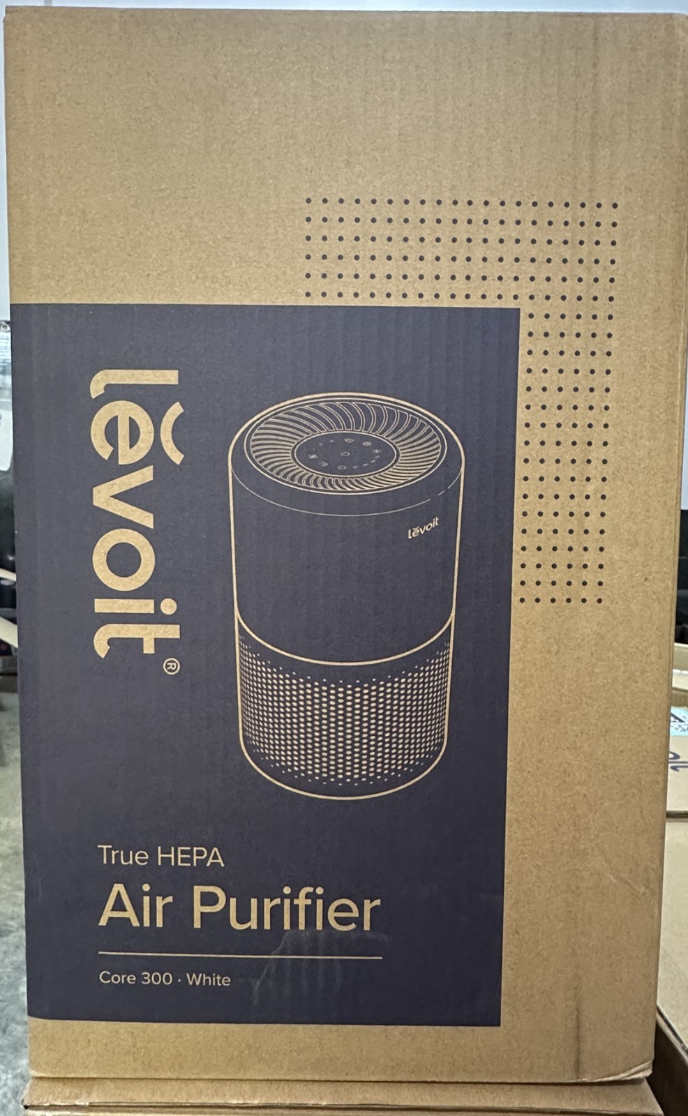 LEVOIT Core 300 Air Purifier, Removes Dust Smoke Odor , Up to 1073 ft², HEPA