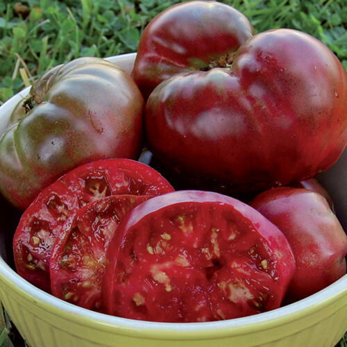 Black Krim Tomato Seeds | Heirloom / Non-GMO | Free Shipping | Seed Store | 1034