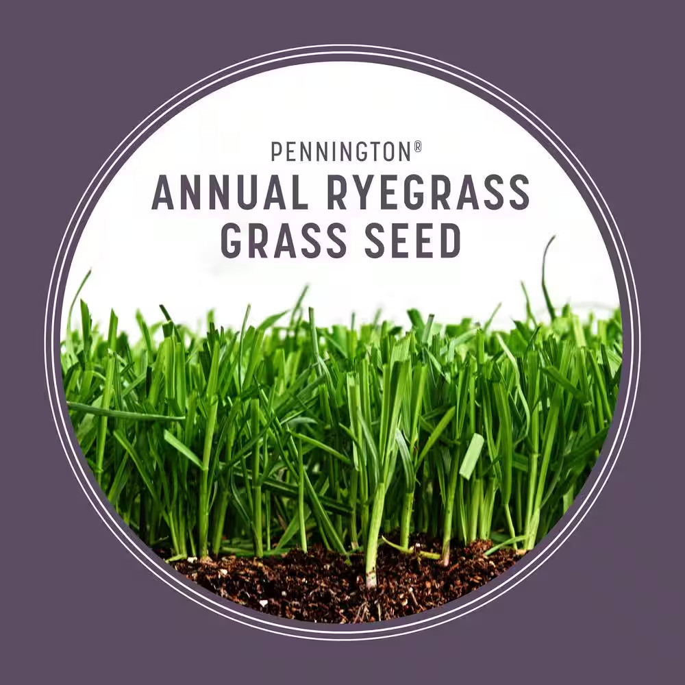 Annual Ryegrass 50 Lbs. 10,000 Sq. Ft. Grass Seed