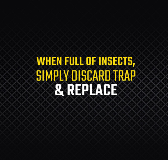 Black Flag Fly Paper, Insect Trap, Catches All Flying Insects 4 Traps
