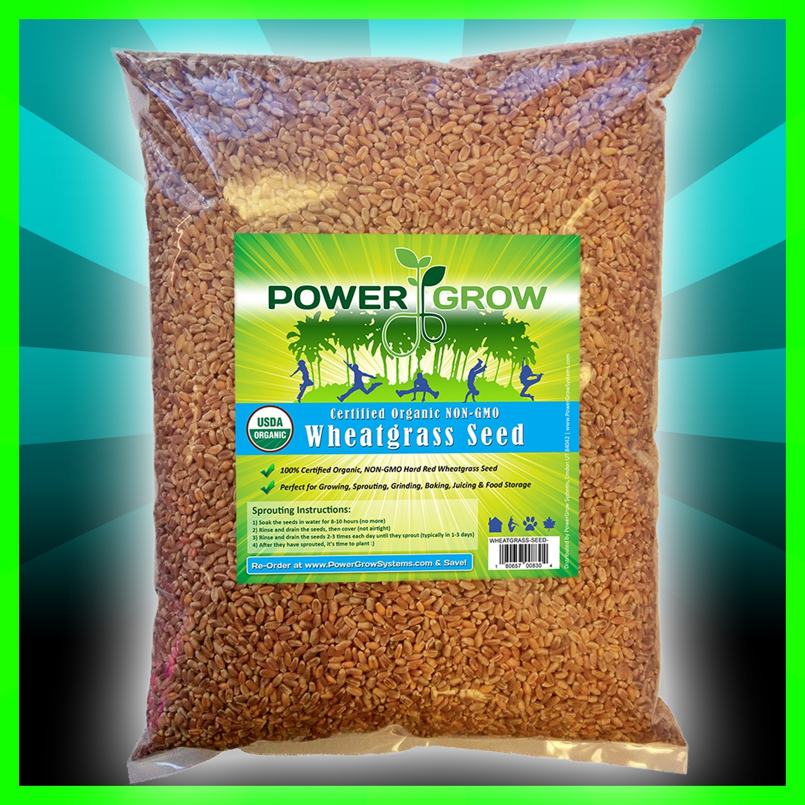 Wheat Grass / Cat Grass Seeds ~ Certified USDA Organic Amounts up to 50 LBS BULK