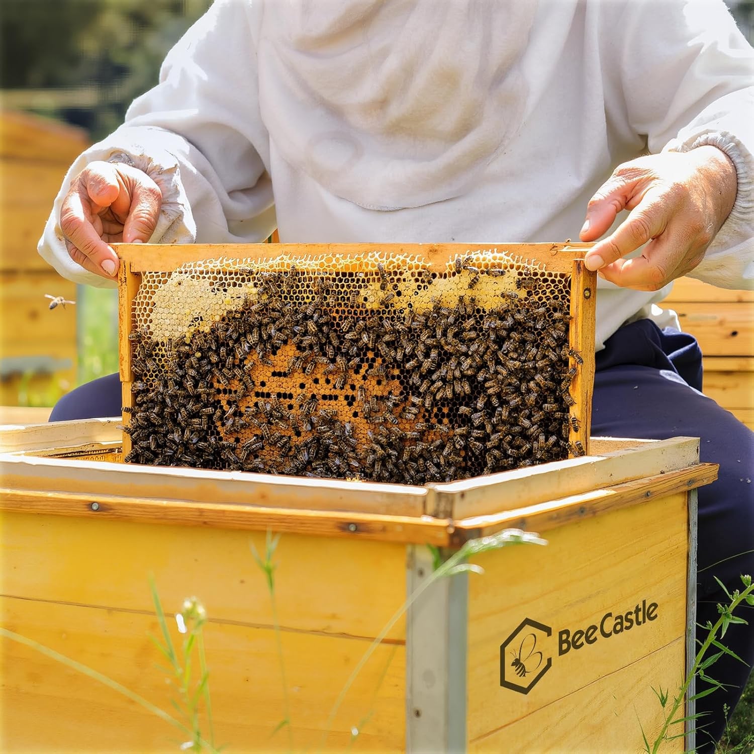 Yellow Wax Coated Beehive Foundation Sheets, Deep 8-1/2″, for Frames
