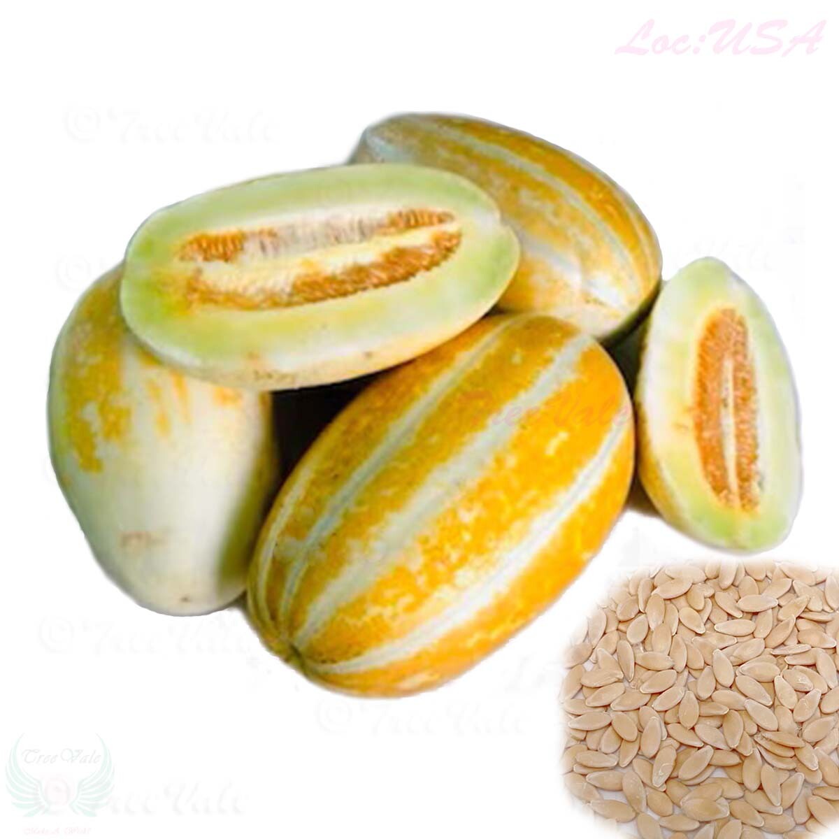 Fragrant Musk Melon seeds, Dưa Gang, Thai Long Muskmelon | Non-GMO, Organic