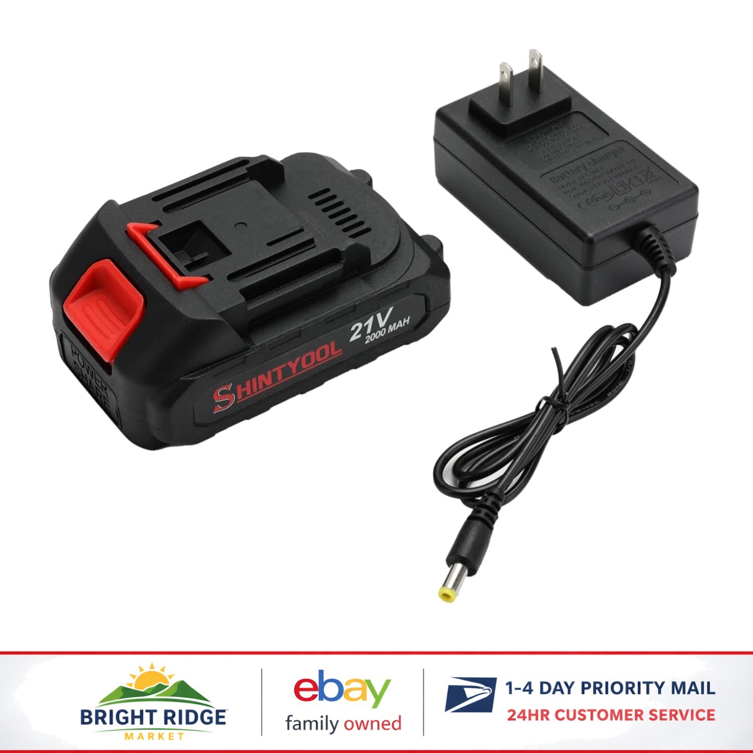 21V Lithium Ion Rechargeable Battery with Charger and LED Charging Indicator