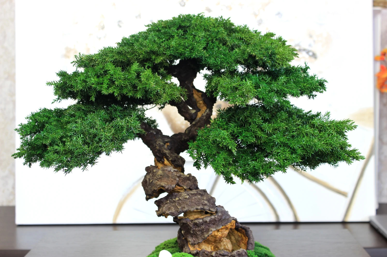 Preserved Juniper Bonsai – Handmade Interior Art Sculpture. 41 cm / 16,14″