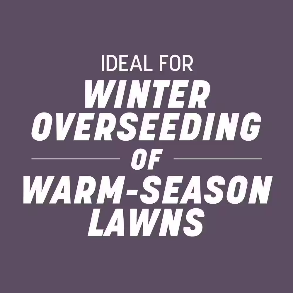 Annual Ryegrass 50 Lbs. 10,000 Sq. Ft. Grass Seed