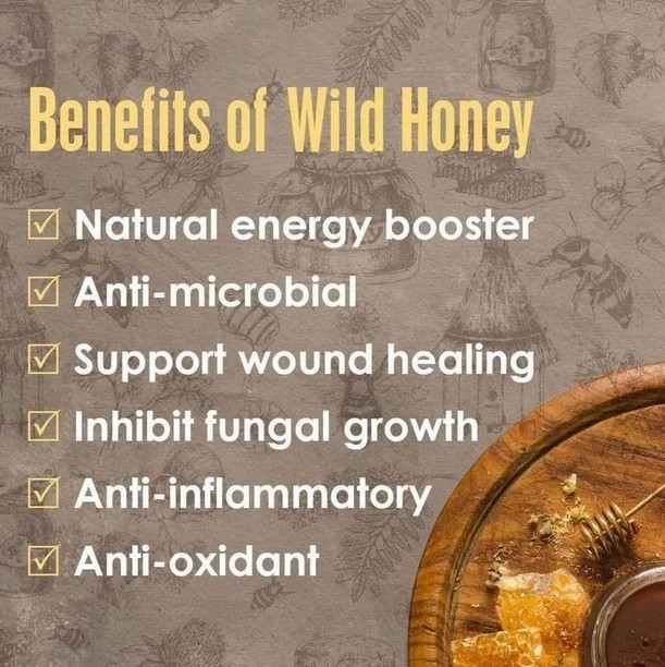 2 Jars Kinohimitsu Wild Tualang Honey 500g ( No import Duties For USA )