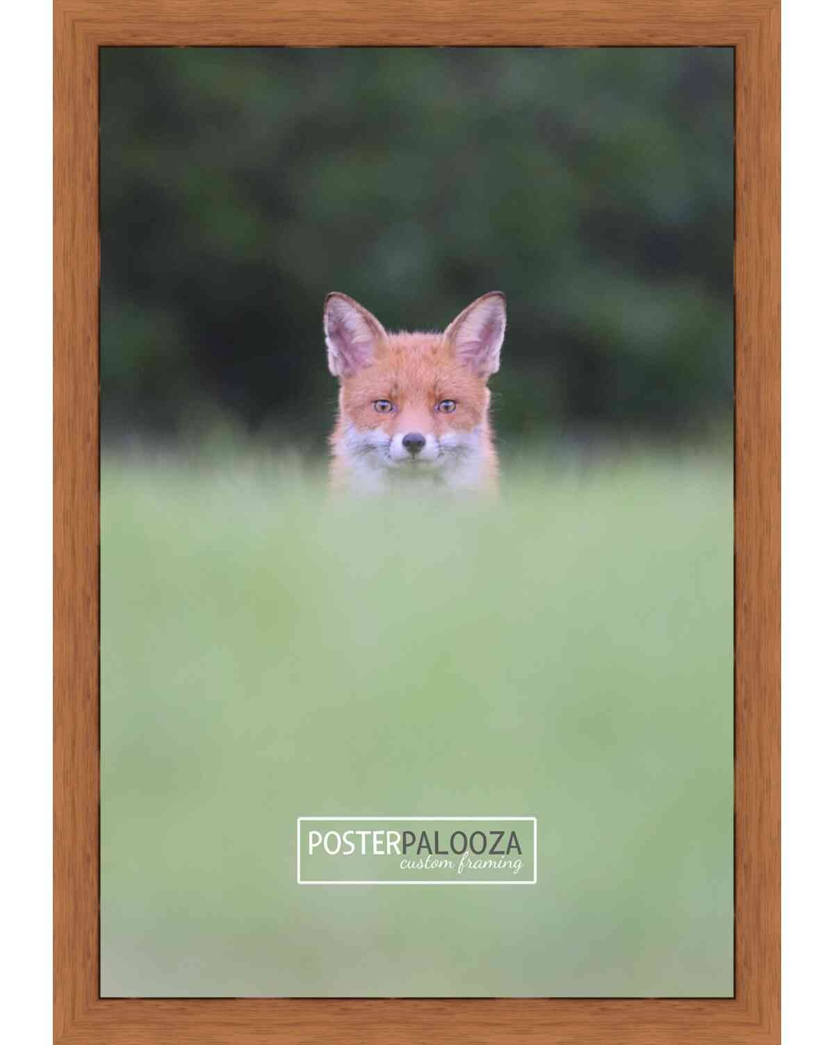 Photo Size Slim Profile Brown Frame – UV Acrylic, Backing, Hanging Hardware