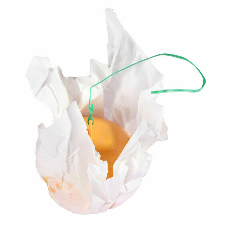 Bug Fruit Fly Traps Sticky Ball Fungus Gnat Pest Control Ball for Indoor Outdoor