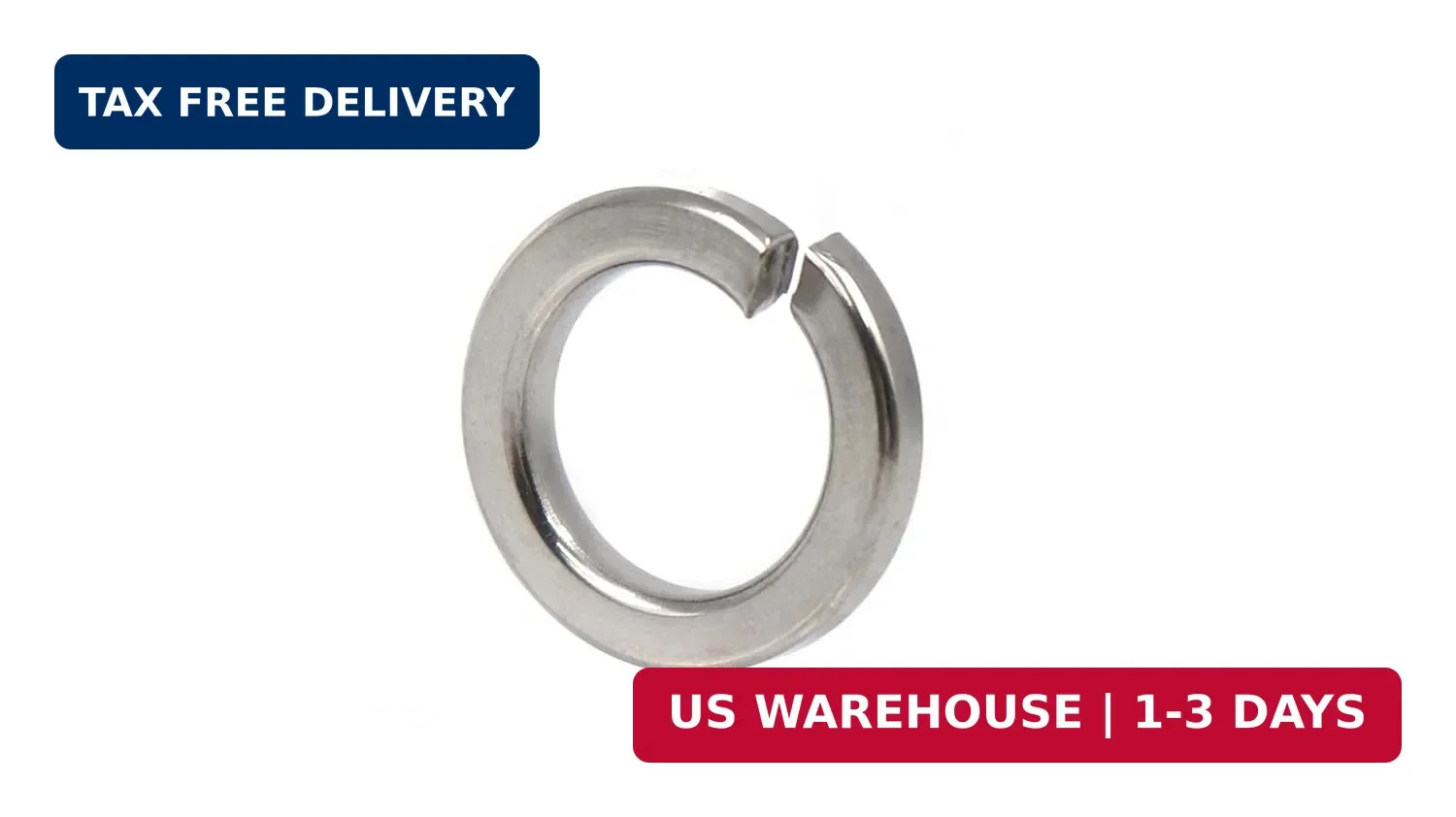 1100+ Pcs Spring Lock Washers Assortment Kit Stainless Steel Washer