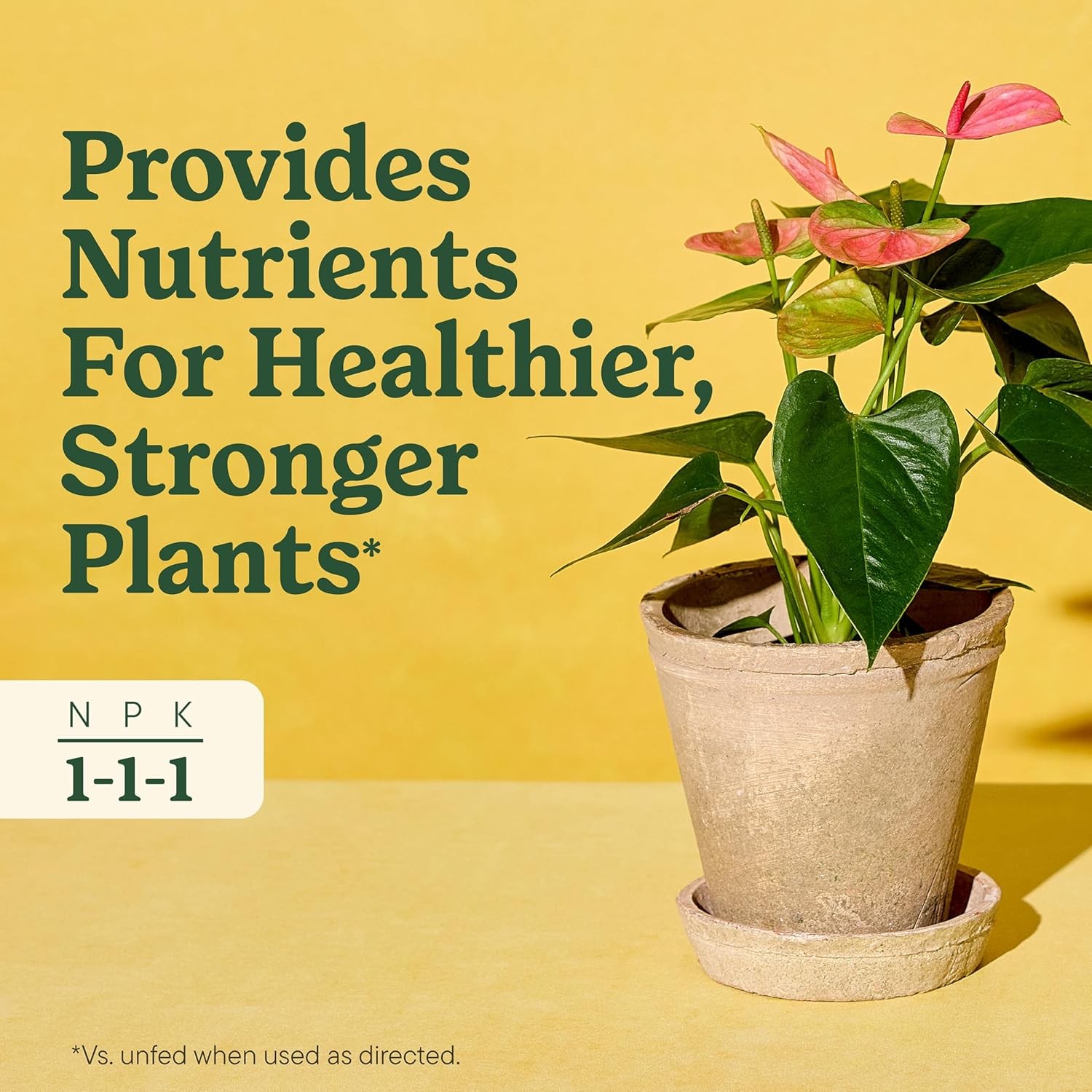 Indoor Plant Food for All Plants 8 Fl. Oz., 2-Pack