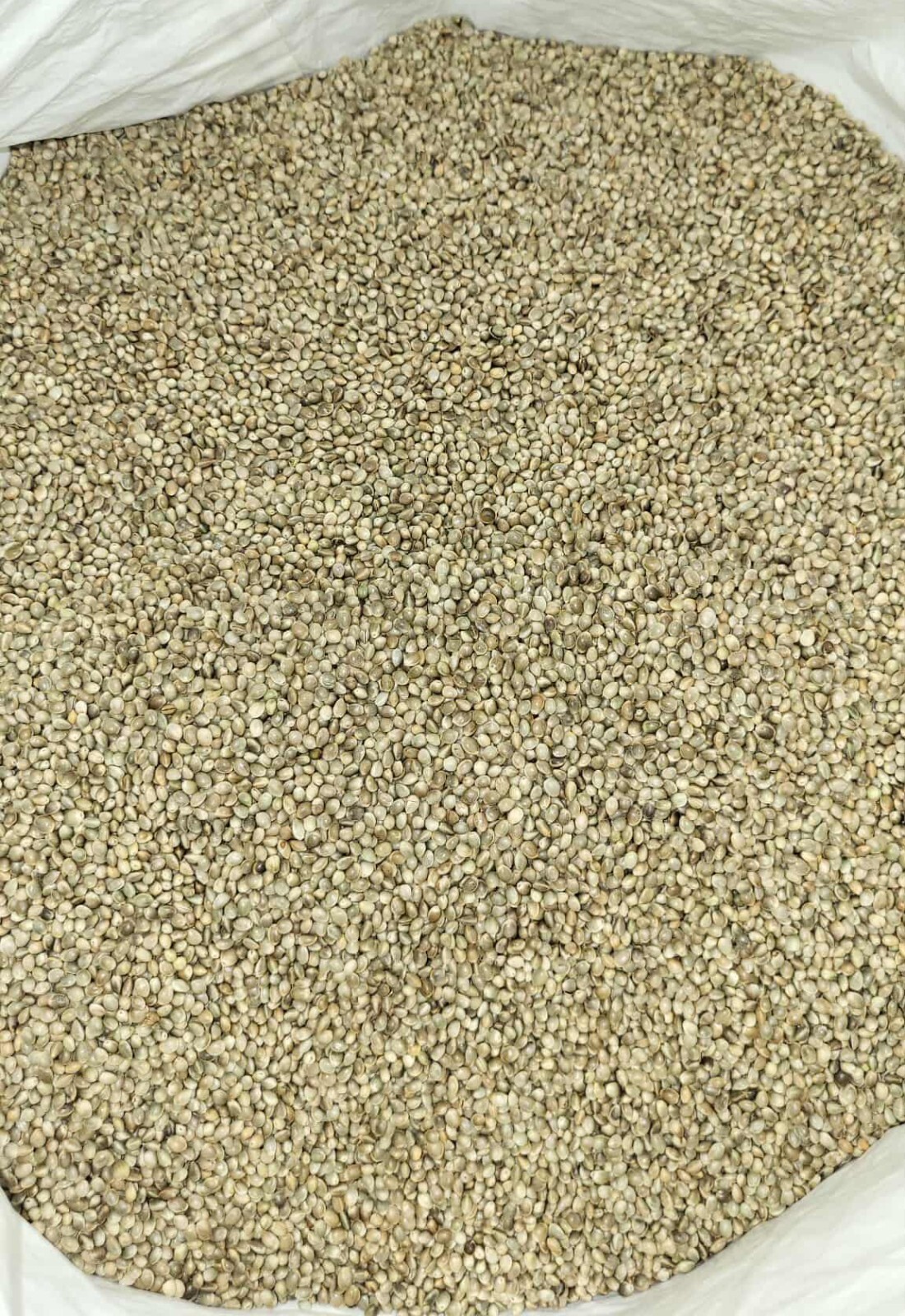 Premium Kosher Hemp Seed Nuts – 100% Food Grade & Nutrient-Rich!