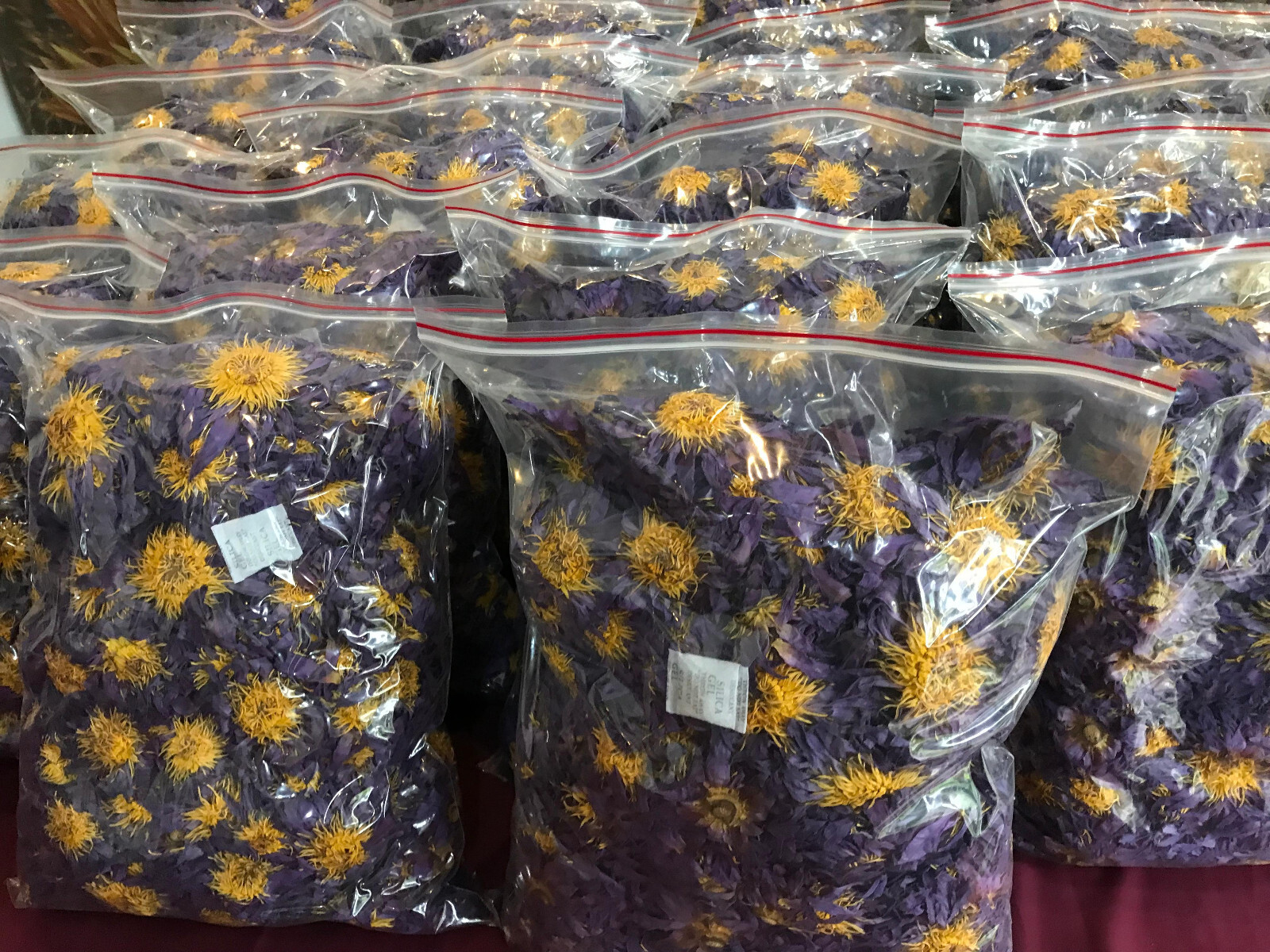 Ceylon Blue Lotus Nymphaea Caerulea 100% Organic Hand Pick Dried Flowers Tea