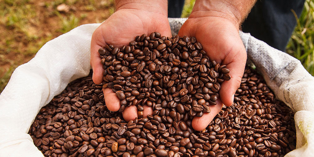 2, 5, 10 LB ETHIOPIA YIRGACHEFFE FRESH ROASTED COFFEE WHOLE BEAN, GROUND