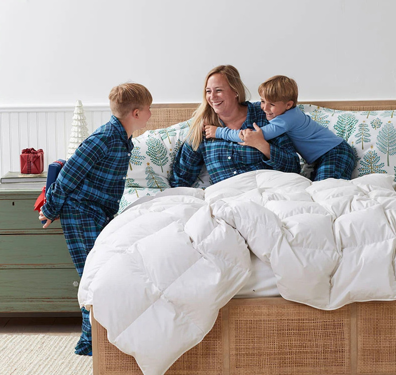 The Company Store LaCrosse Premium Down Light Warmth Comforter Queen/King