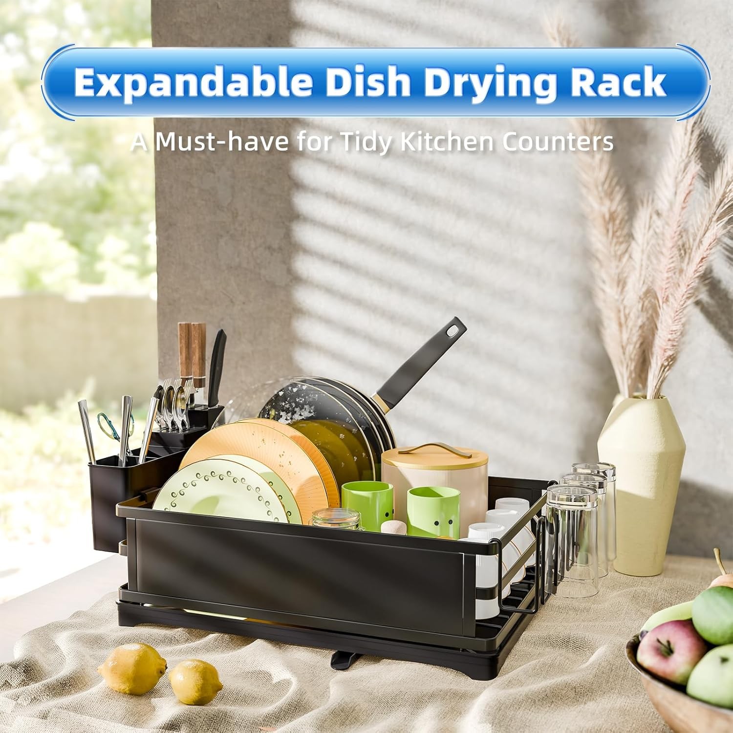 Dish Rack,Steel Dish Drying Rack for Kitchen Counter,Dish Drainer-Large Capacity