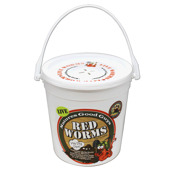 Natures Good Guys – Red Worms – “Red Wigglers”