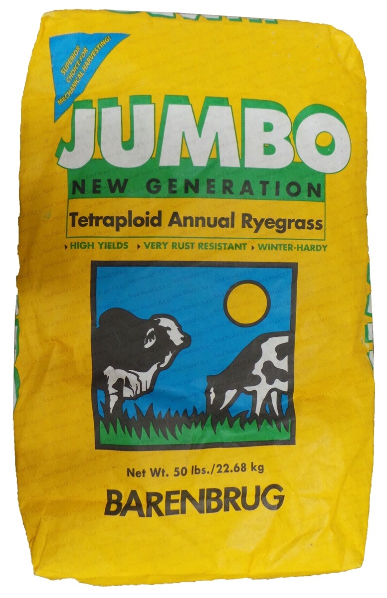 Jumbo Tetraploid Annual Rye grass Seeds – 10 Lbs.