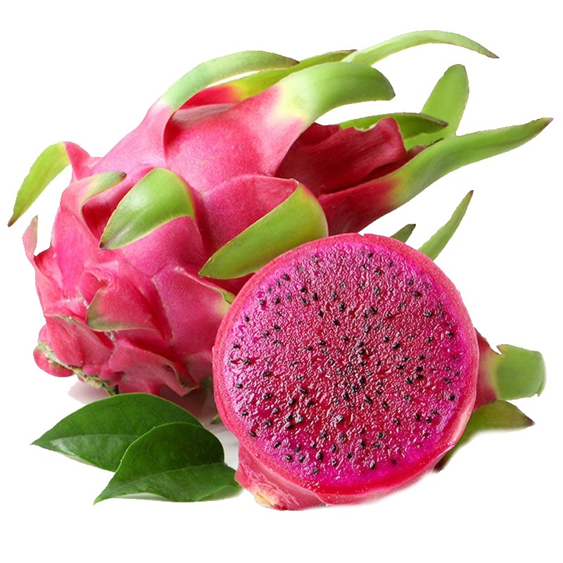 DRAGON FRUIT PINK powder 8oz 16oz 1lb 32oz 2lb 4lb 10lb 55lb FREEZE DRIED PAJE