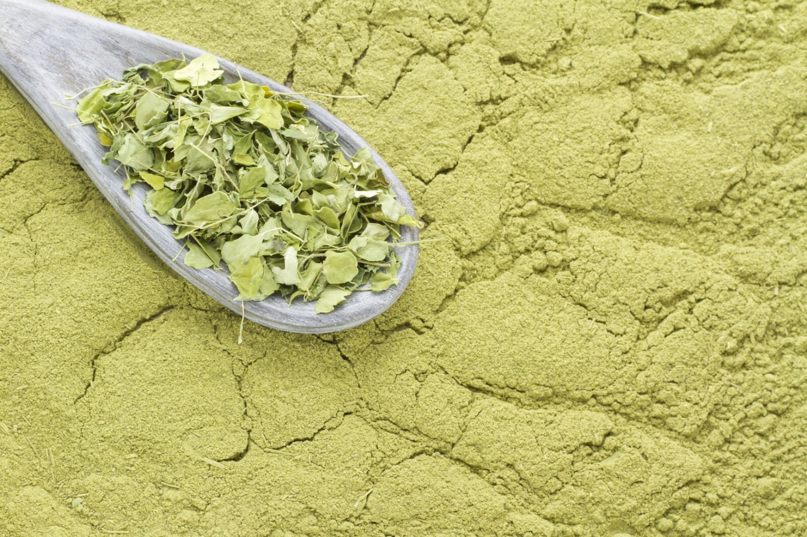 Moringa Powder oleifera Leaf 100% Pure Natural Superfood Gluten Free Lot