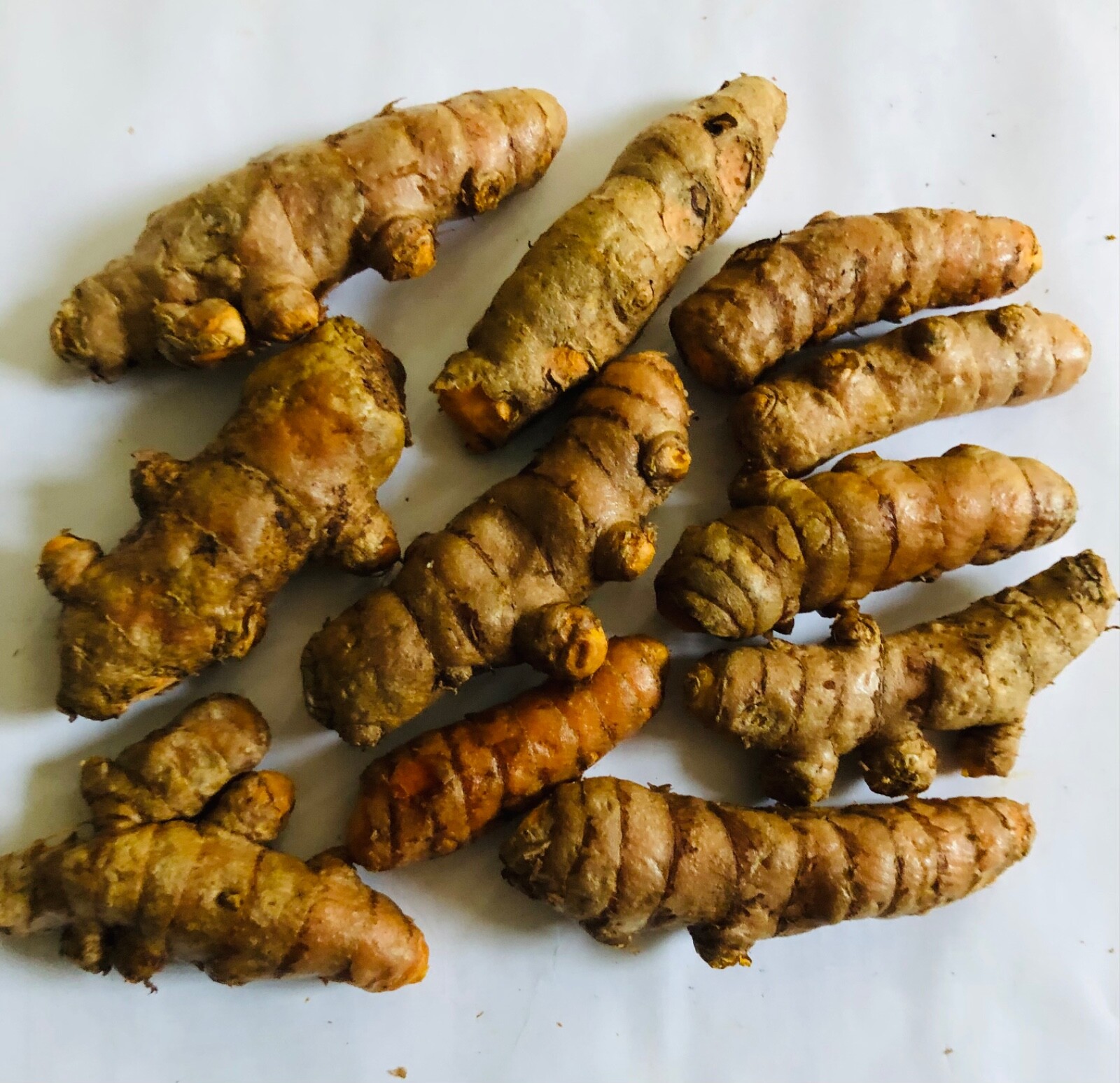 10PCS TUMERIC ROOTS FOR PLANT-CURCUMA LONGA-ARTHRITIS PAIN,MAKE TEA,COOKING