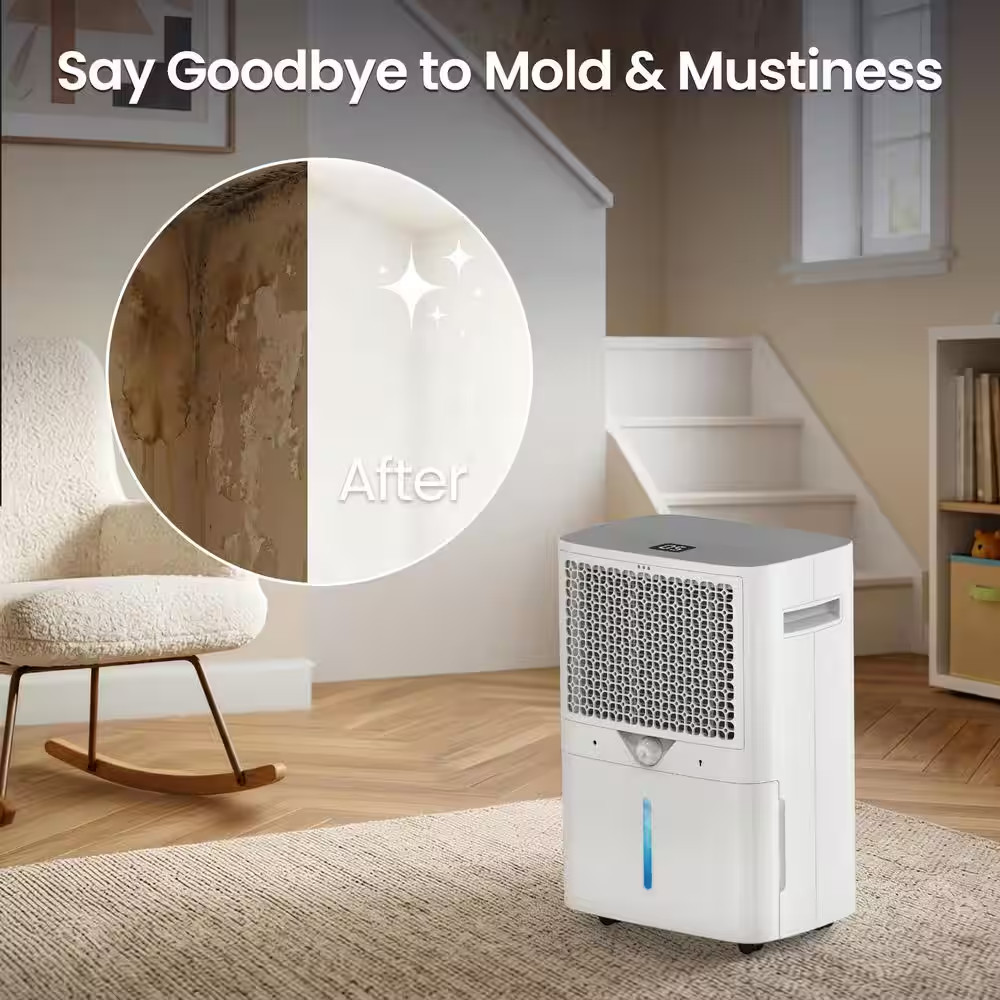 120 Pt. 6,500 Sq. Ft. Upgraded Dehumidifier for Basement, with Bucket, Drain Hos