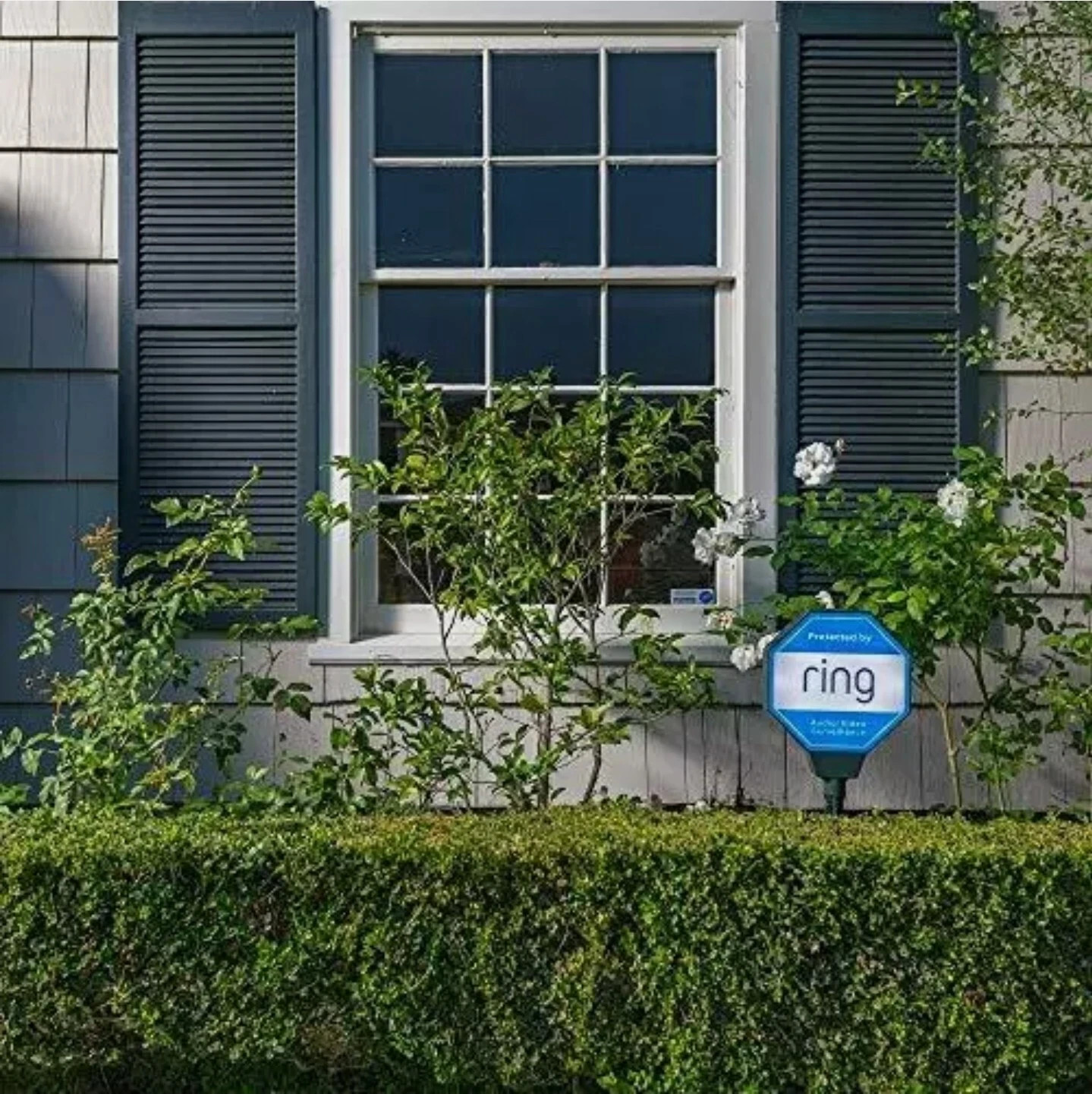Ring Solar Security Sign Illuminated & Solar Powered Intruder Deterrent New