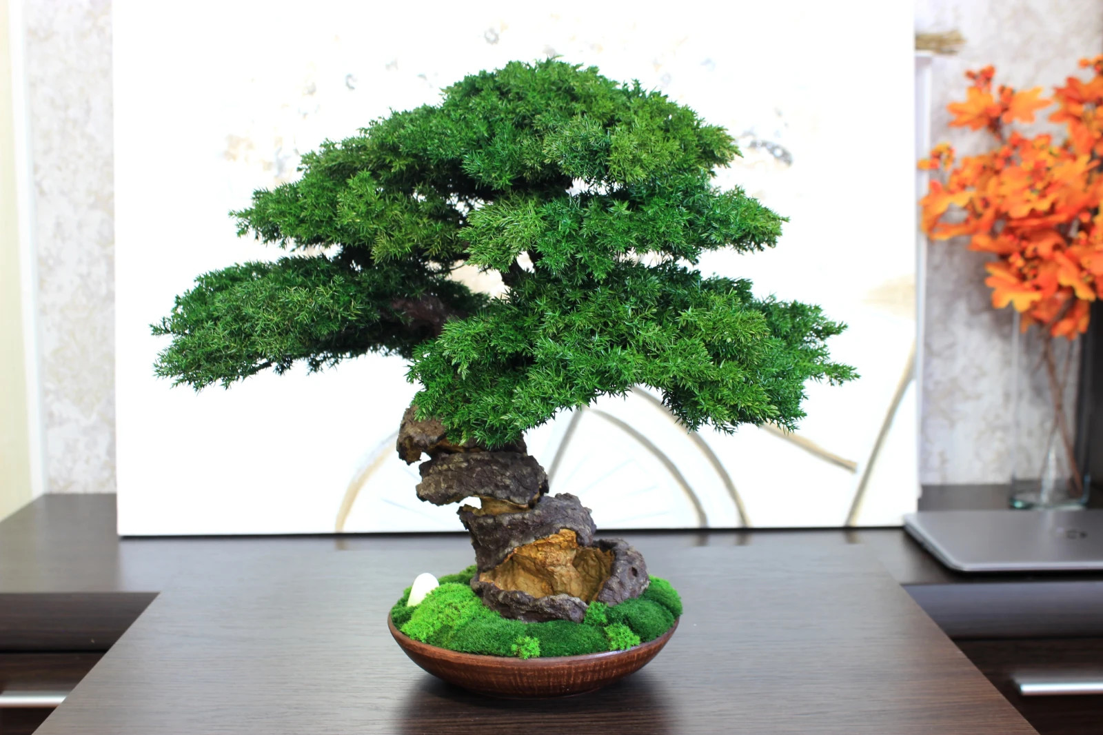 Preserved Juniper Bonsai – Handmade Interior Art Sculpture. 41 cm / 16,14″