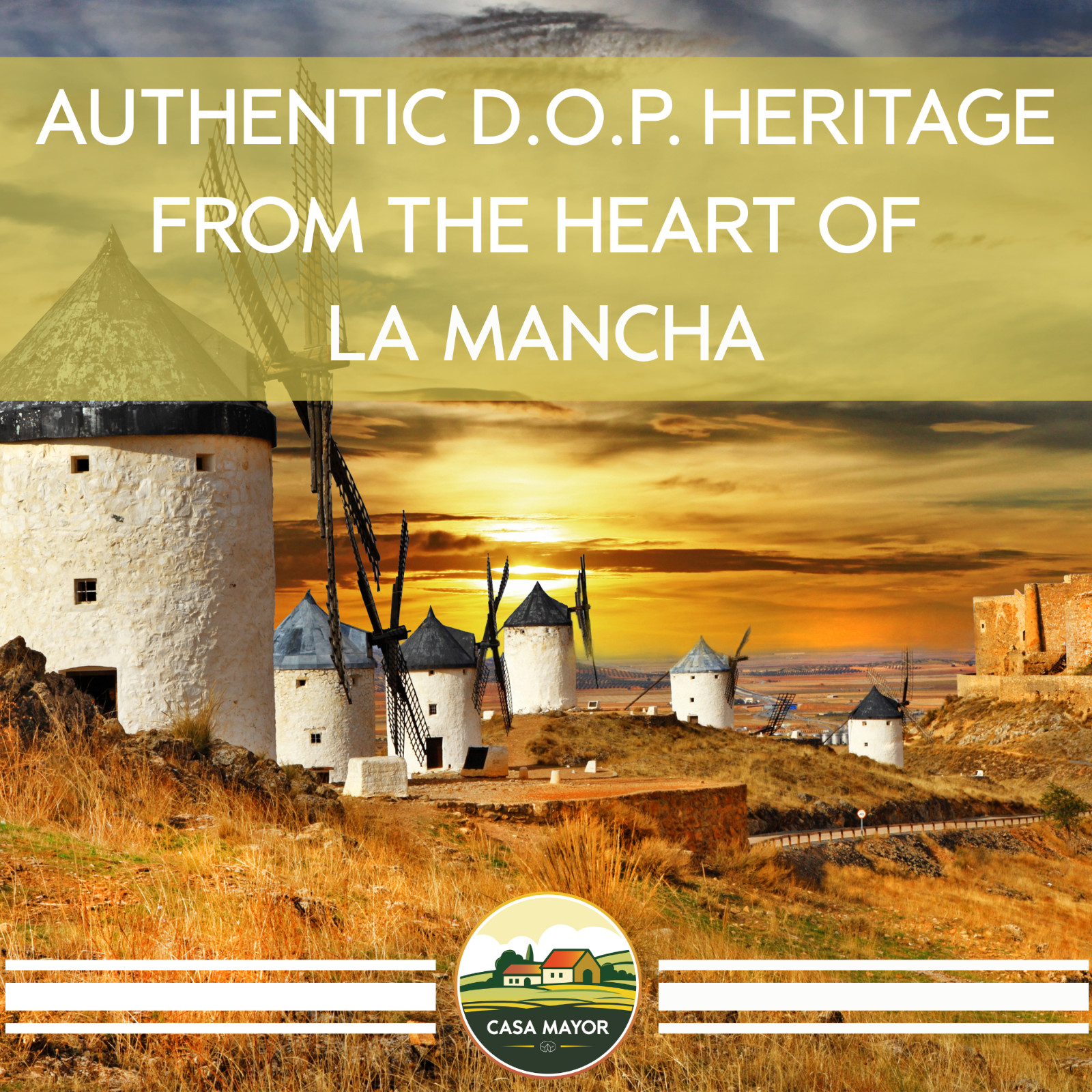 Manchego Cheese D.O.P – Approx. 1 lb Wheel – Aged 3 Months – Authentic Spanish