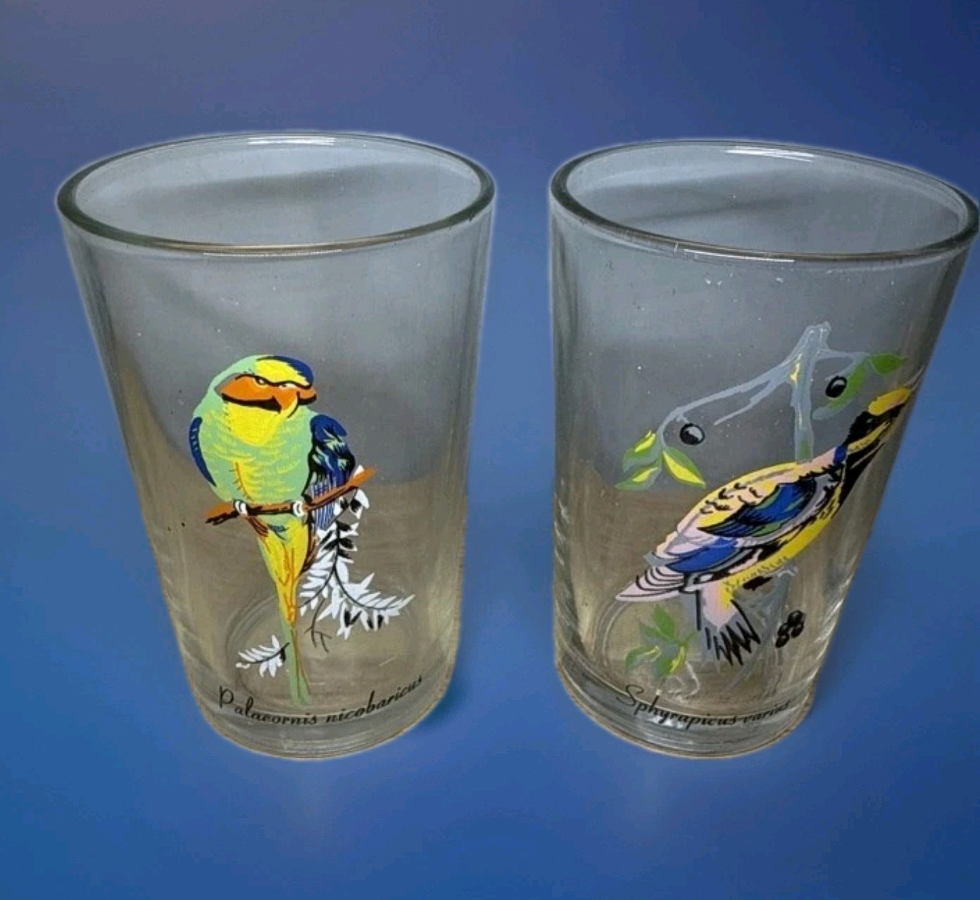 VINTAGE Crystal Emporium Bird Glasses Set 4 Tumblers Exotic Birds KIG Malaysia