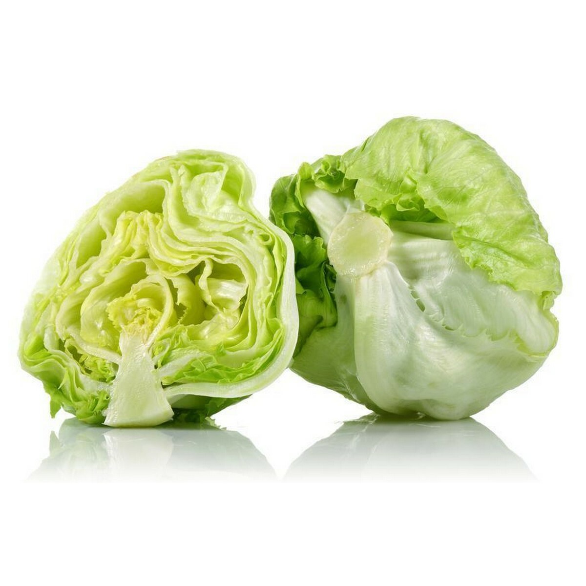 1000 ICEBERG LETTUCE SEEDS ~ heirloomseedguy ~ 2026 ~ NON-GMO