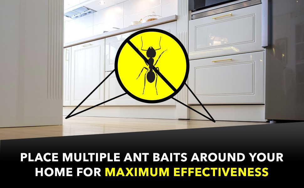 Raid Ant Killer Baits III 4 Count Household Use Colony Killer 3 Months Indoor