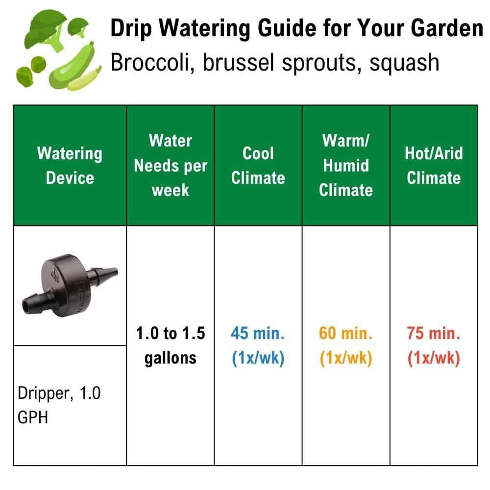 Rain Bird Drip Emitter Tubing 1/2 in x 100 ft Irrigation Hose 12 in Spacing