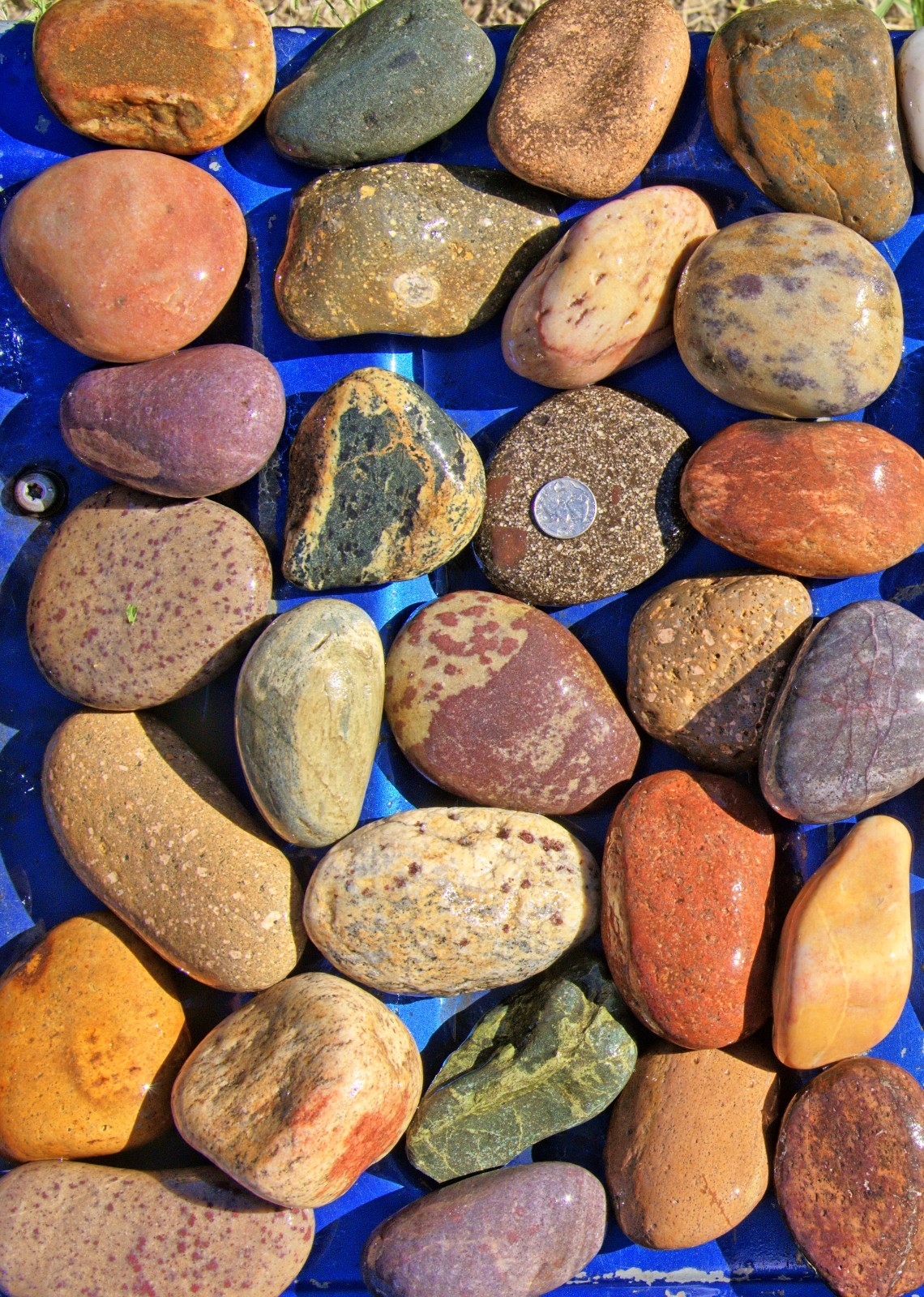 30 lbs Lot #1 Medium Colorful River Rocks Water Feature Aquarium Landscape