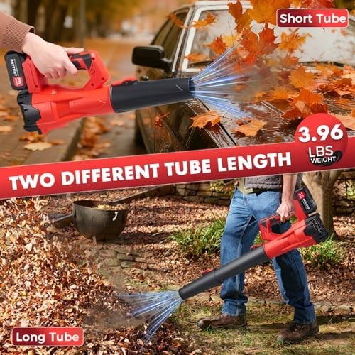 Powerful 650CFM Cordless Leaf Blower, 21V, 6-Speed, 2 Batteries & Charger, Yard