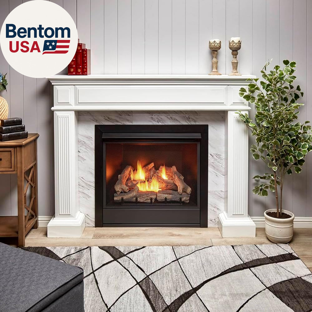 Dual Fuel Ventless Gas Fireplace Insert, Remote Control, 9 Fire Logs, Use with N
