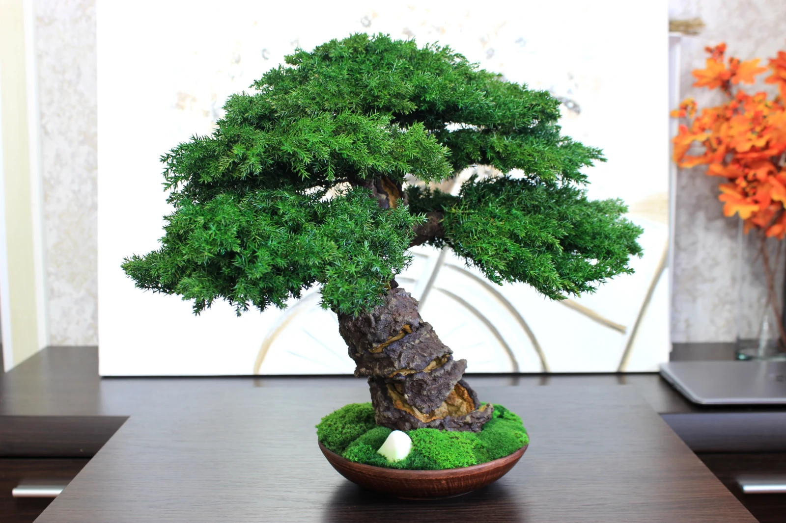 Preserved Juniper Bonsai – Handmade Interior Art Sculpture. 41 cm / 16,14″