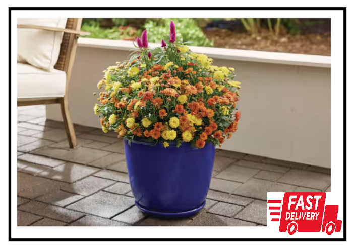 14 In. Delphine Blue Glazed Plastic Planter (14 In. D X 12 In. H) with Drainage