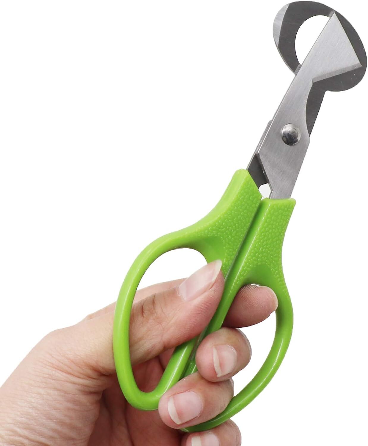 2Pcs Quail Egg Roast egg scissors Cutter Scissors Kitchen Egg Shears Tool(Green)
