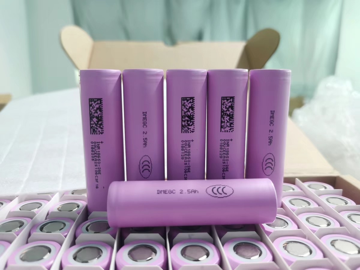 DMEGC 26E Rechargerable Battery 2600mah 3.6v 10pcs