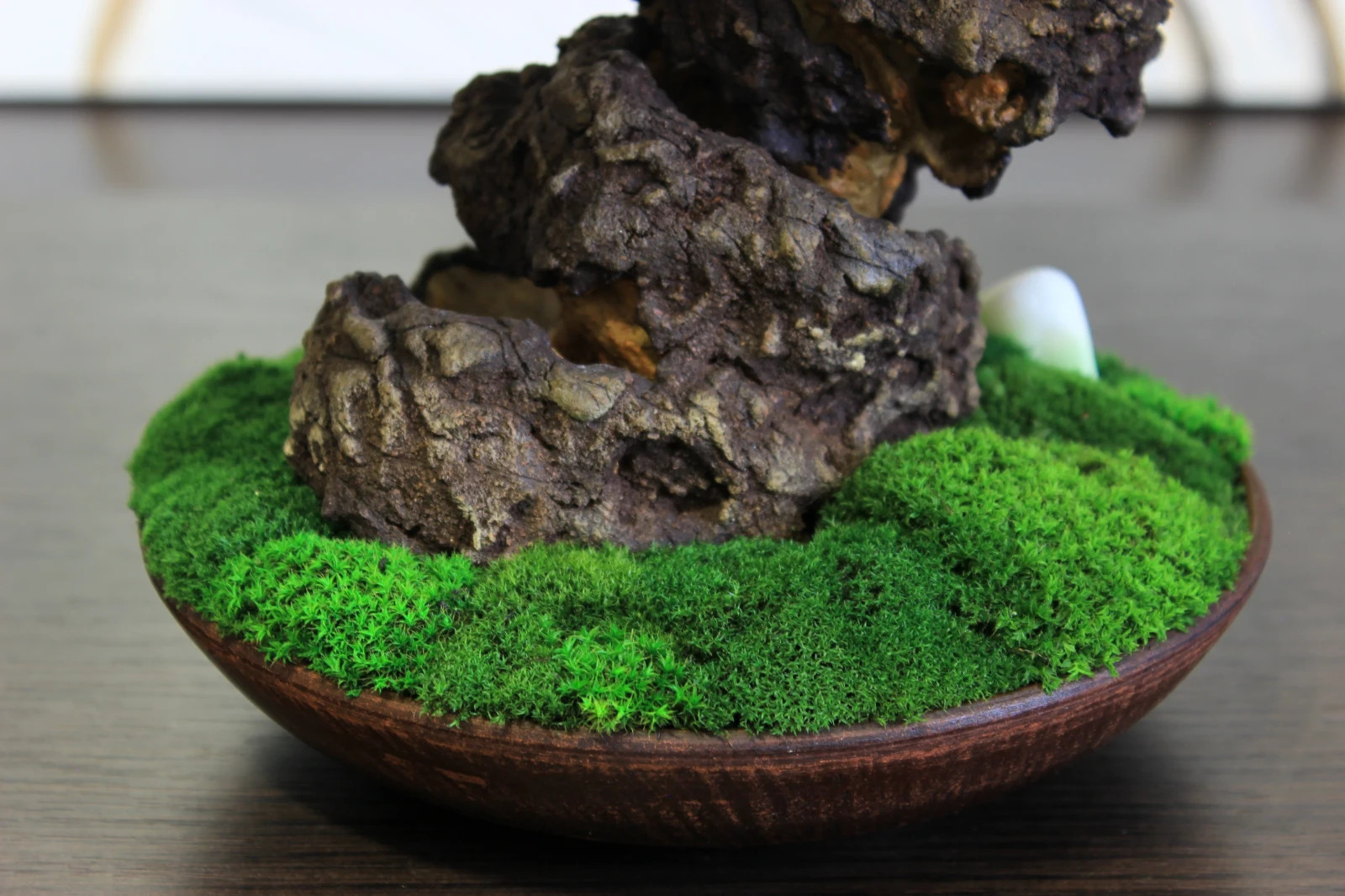 Preserved Juniper Bonsai – Handmade Interior Art Sculpture. 41 cm / 16,14″