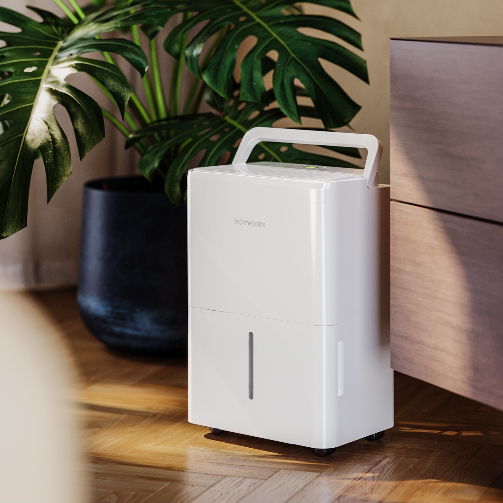 HomeLabs 8 Pint Dehumidifier White OPEN Box