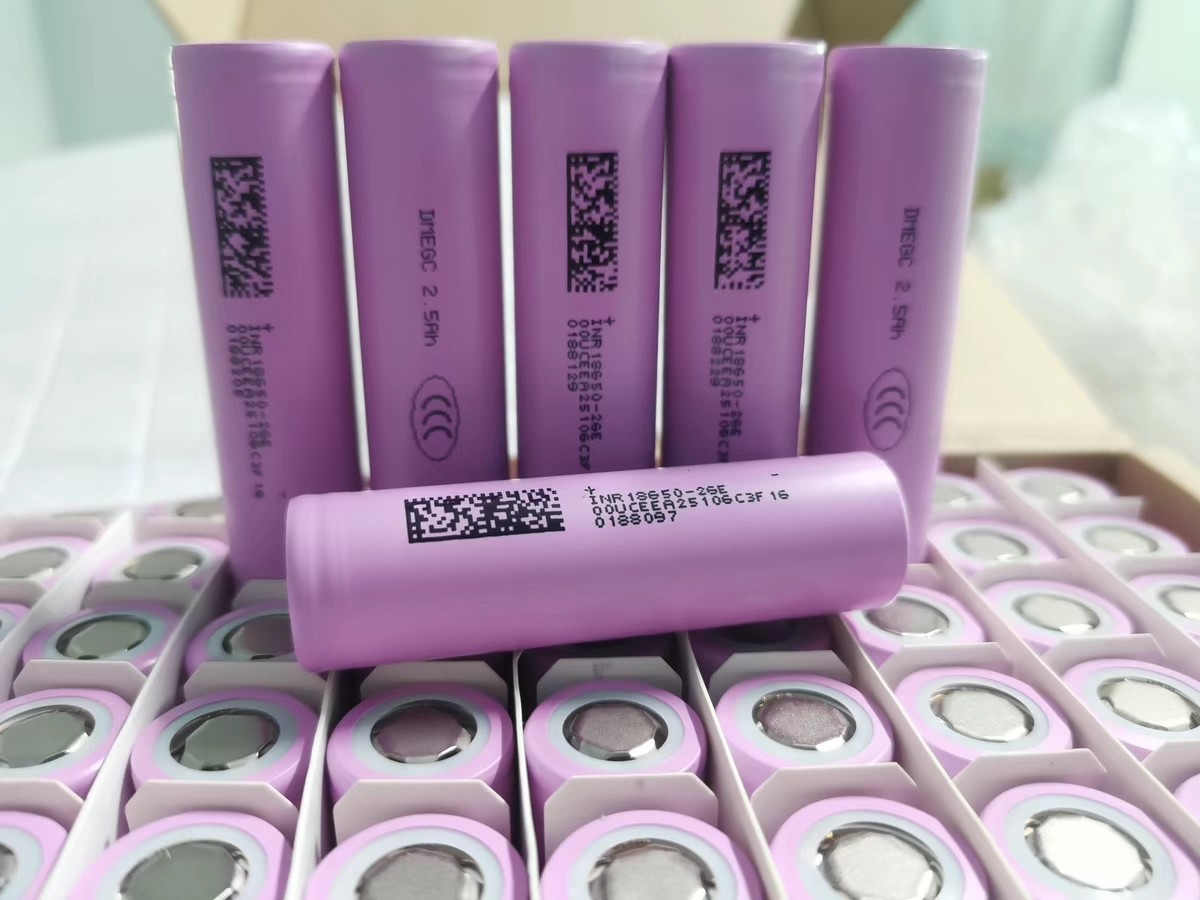 DMEGC 26E Rechargerable Battery 2600mah 3.6v 10pcs