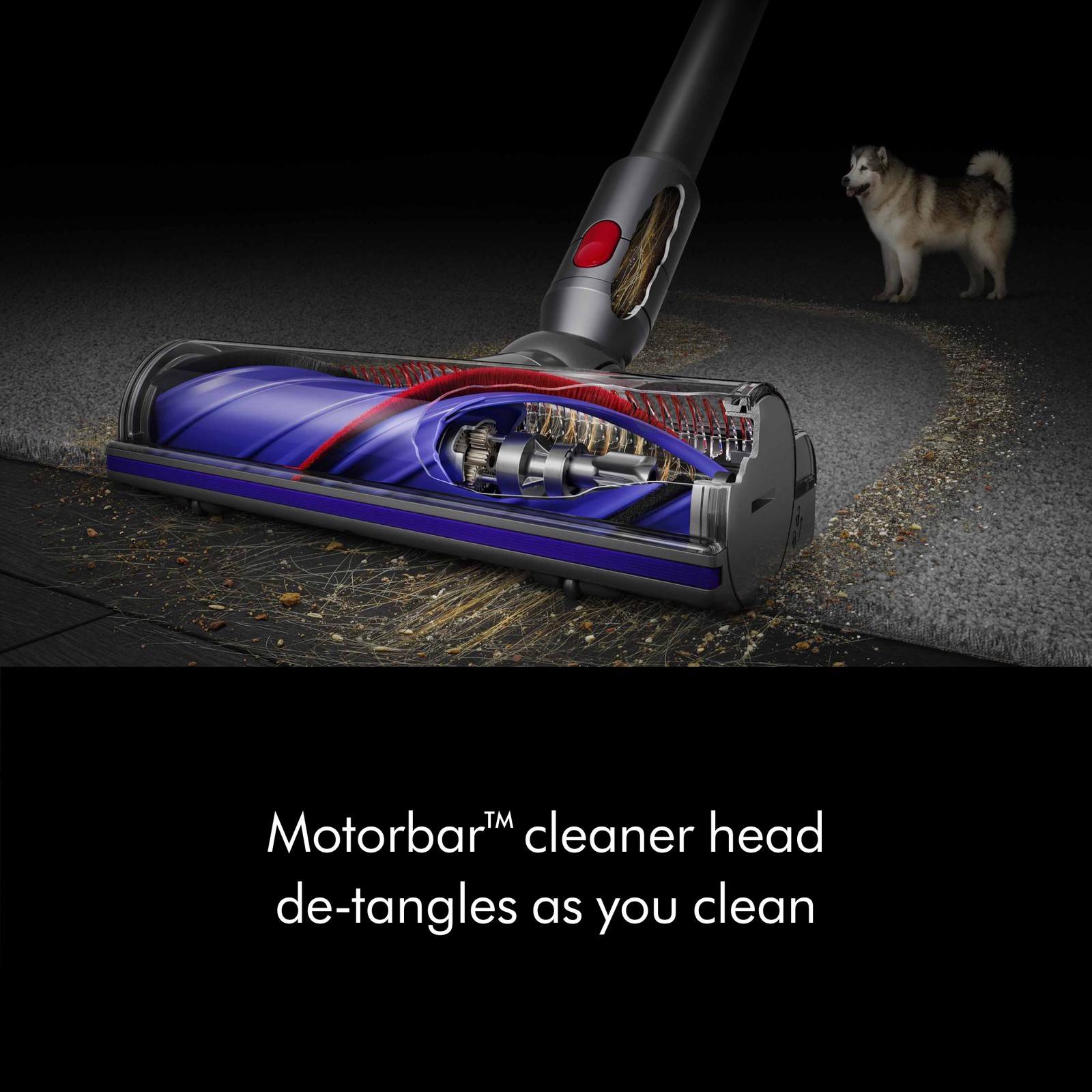 SV28 V11 Extra Cordless Vacuum Cleaner | Iron | Refurbished