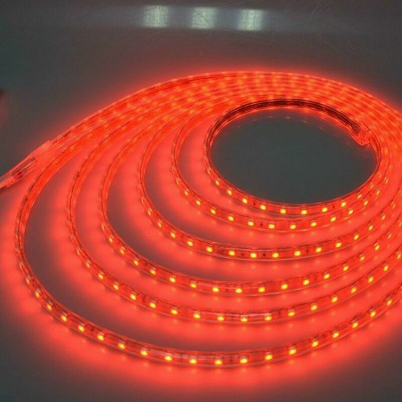 110V 220V 1m-20m Waterproof 5050 LED Flexible Tape Rope Strip Light Xmas Outdoor