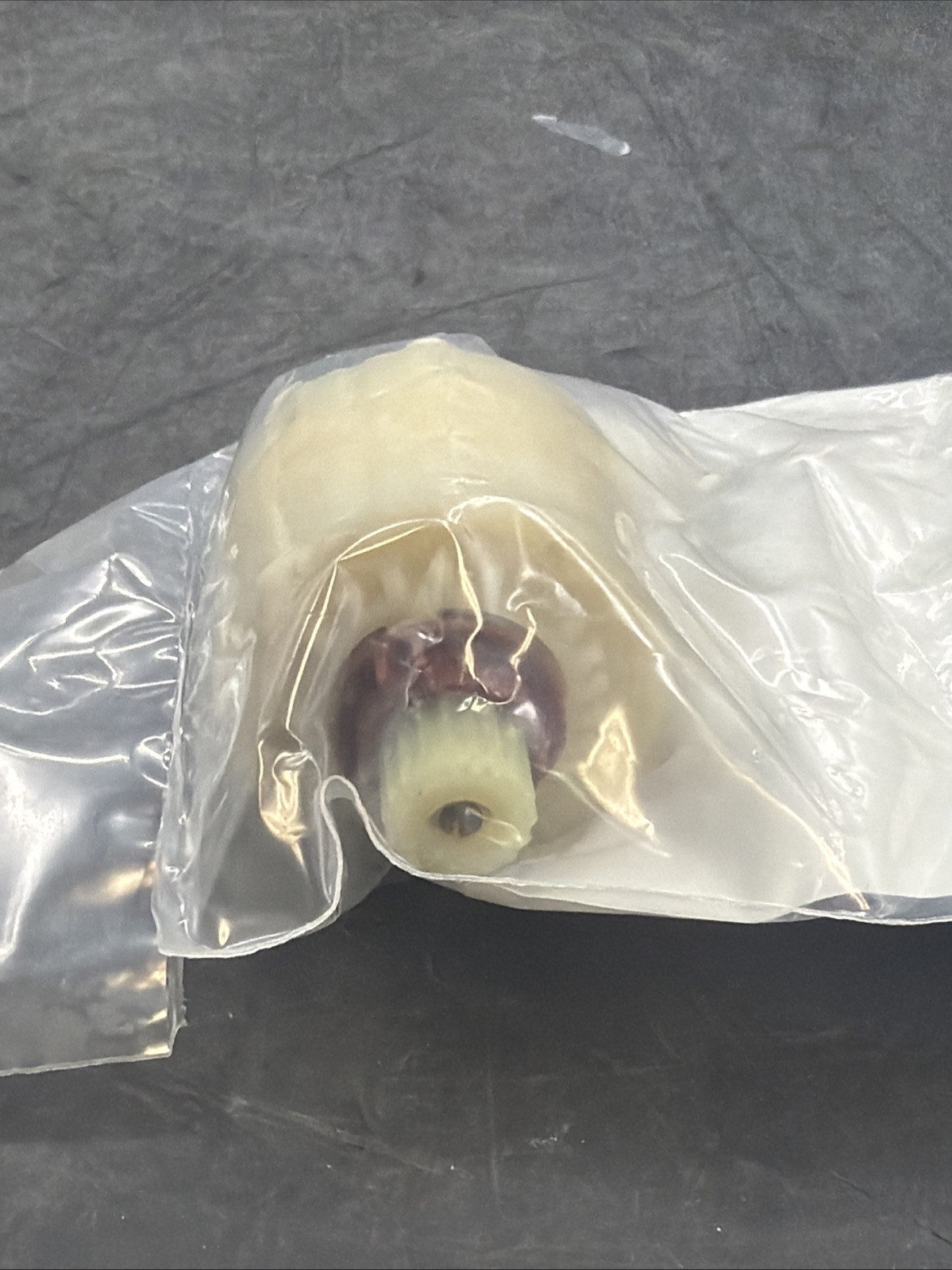 NEW Genuine OEM American Standard Pressure Balance Cartridge A954440-0070A