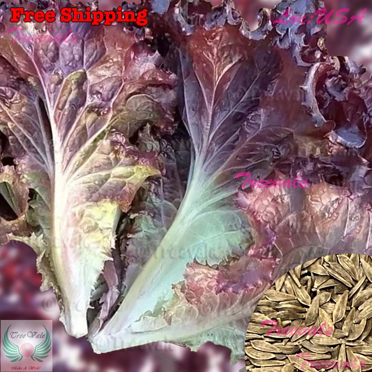 Red Lettuce SEEDS | Red Leaf Lettuce SEEDS | NON-GMO, Vegetable Seeds