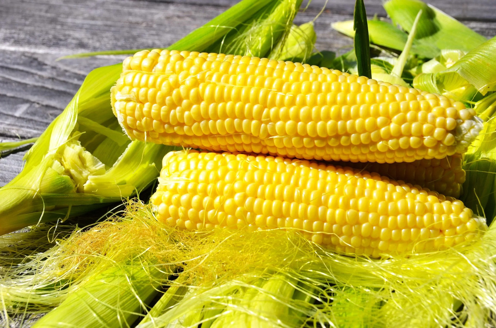 Honey Select Triple Sweet Corn Seeds | AAS Winner Untreated Yellow SY Seed 2024